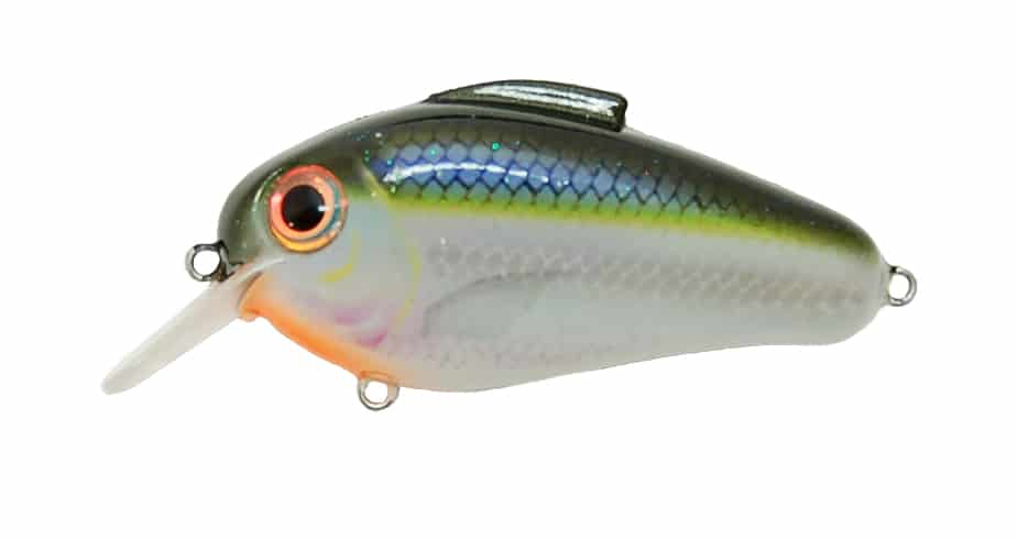 Bill Lewis Rat-L-Trap, Blue Shiner