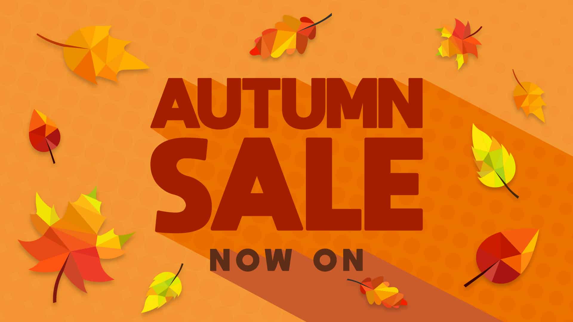 Euro Fishing: Great Deals in the Autumn Sale