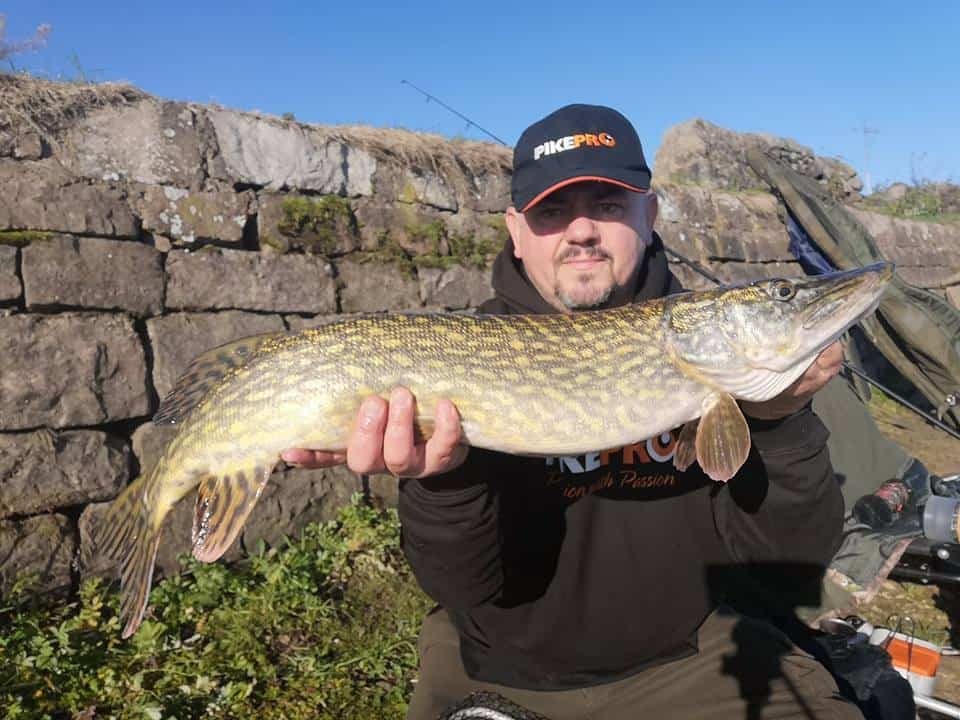 Ep19  Pike Fishing with Deadbaits - The Things We Do Just To Get Out  Fishing 