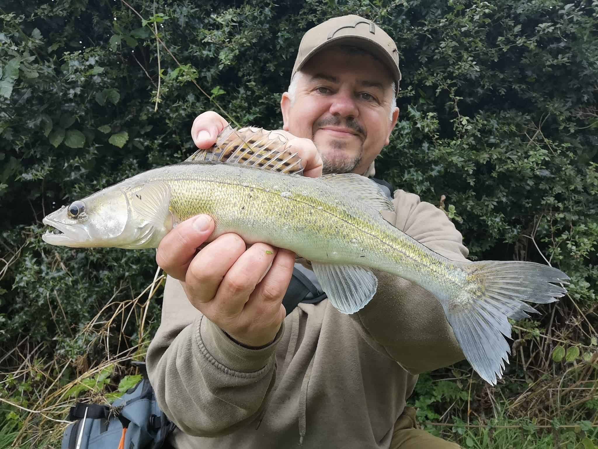 THE BEST CATCH ANYTHING LURE  Pike, Perch and Zander Fishing! 