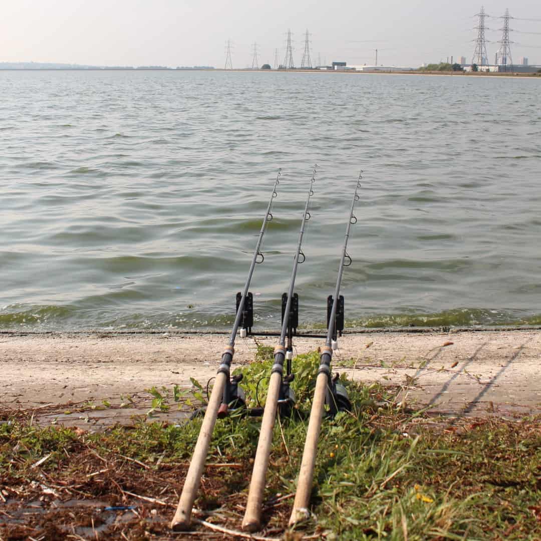 A Tale of Carp, Dave Levy takes on the River Lot